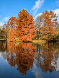 Spiegelung Herbstb&auml;ume